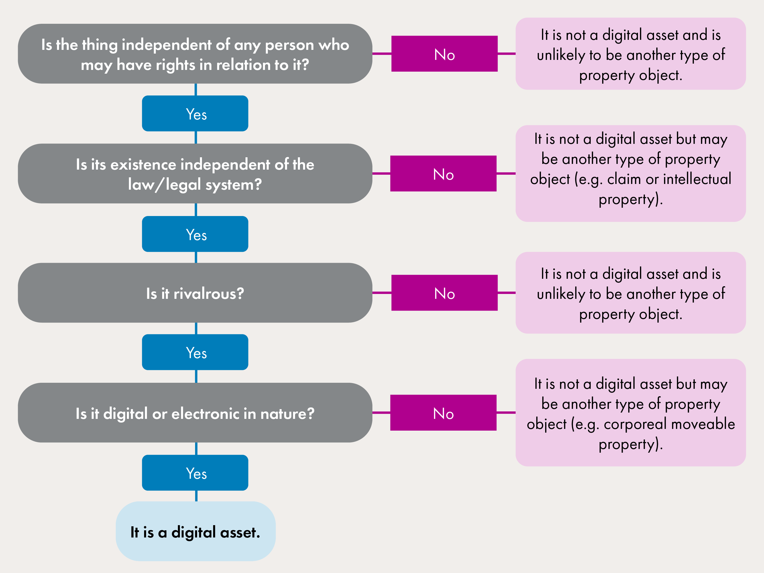 A flow chart describing the decision-making process for identifying digital assets.